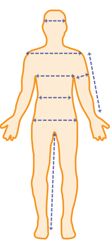 Male Measurement Guide graphic